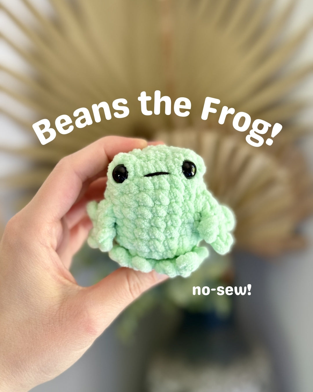 Beans the Frog Pattern PDF